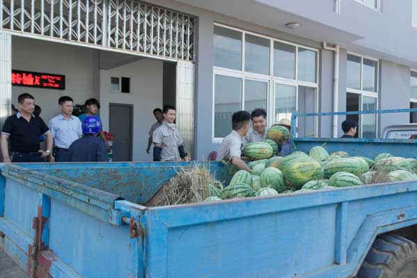 阜阳政府送清凉正在搬运西瓜